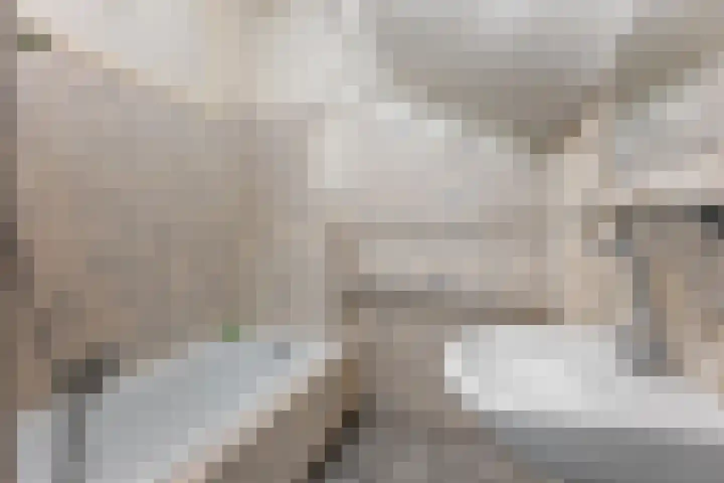 Petrus Driessenstraat 14 Groningen thumbnail 4