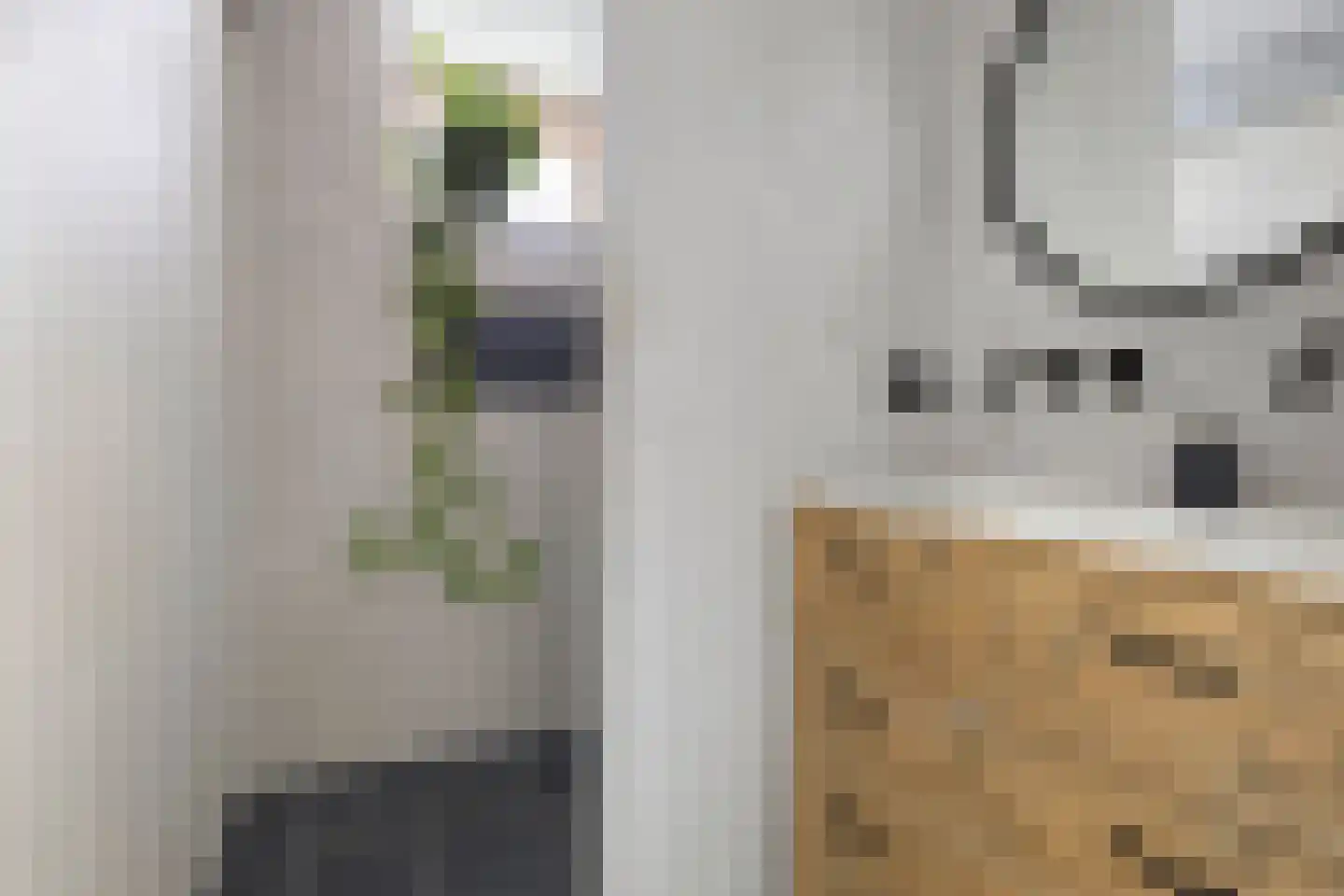 Petrus Driessenstraat 9 Groningen thumbnail 35