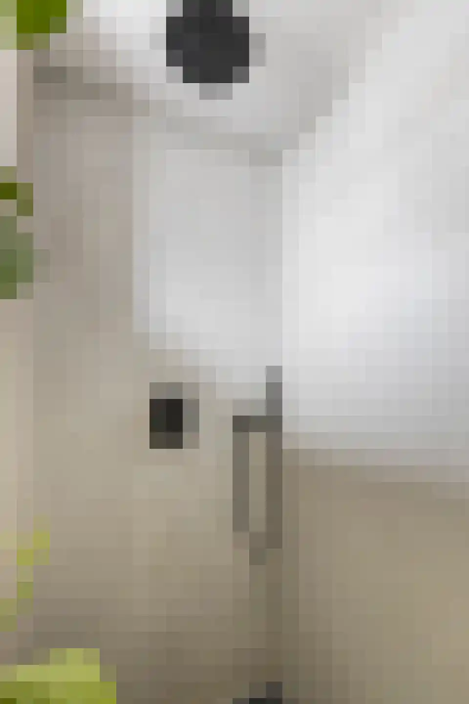 Petrus Driessenstraat 9 Groningen thumbnail 36