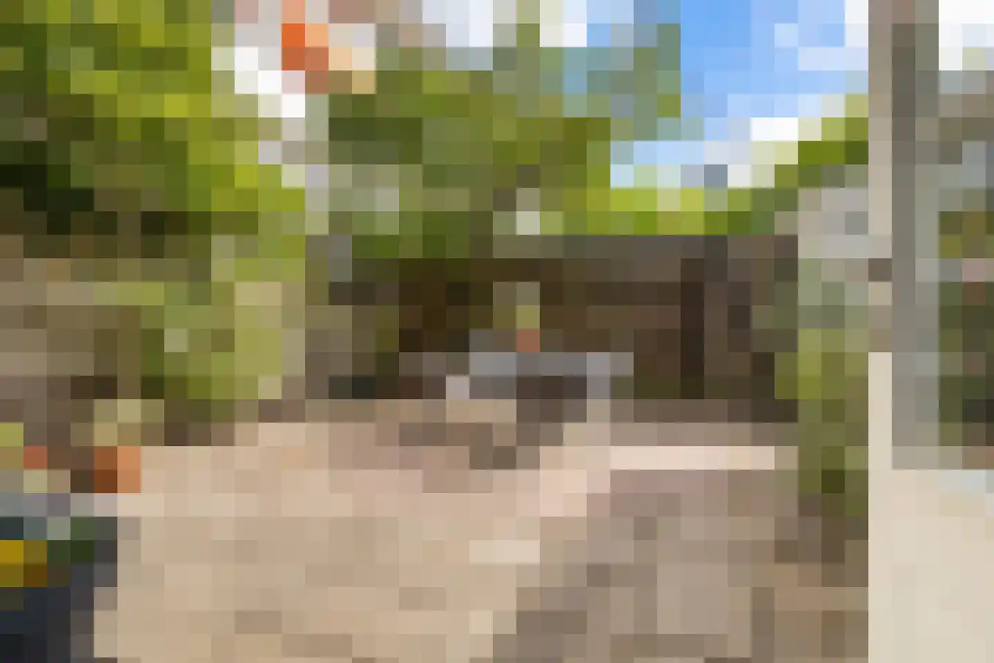 Petrus Driessenstraat 9 Groningen thumbnail 41