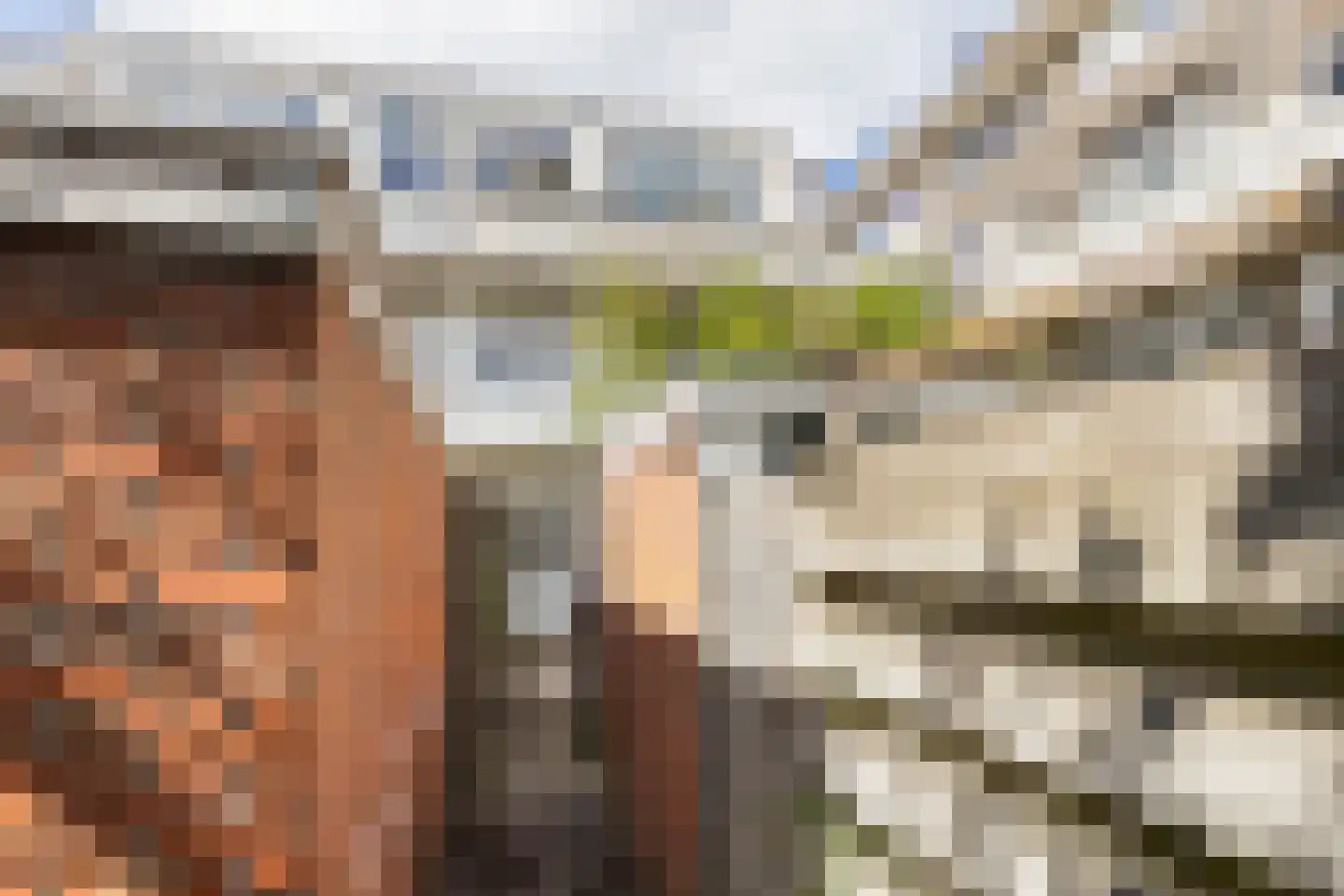 Petrus Driessenstraat 9 Groningen thumbnail 45
