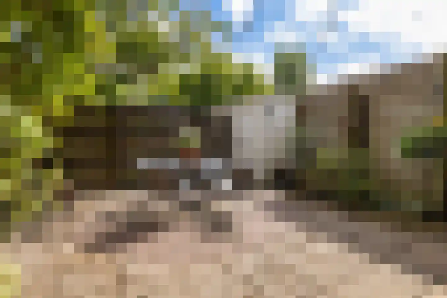 Petrus Driessenstraat 9 Groningen thumbnail 5