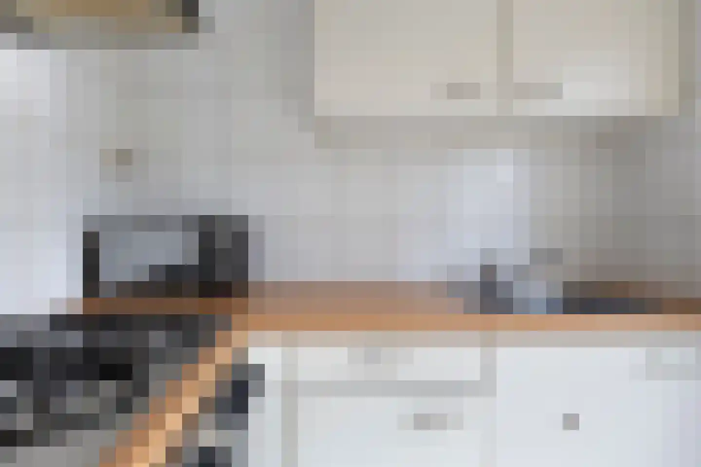 Petrus Loosjesstraat 6 n Tilburg thumbnail 17