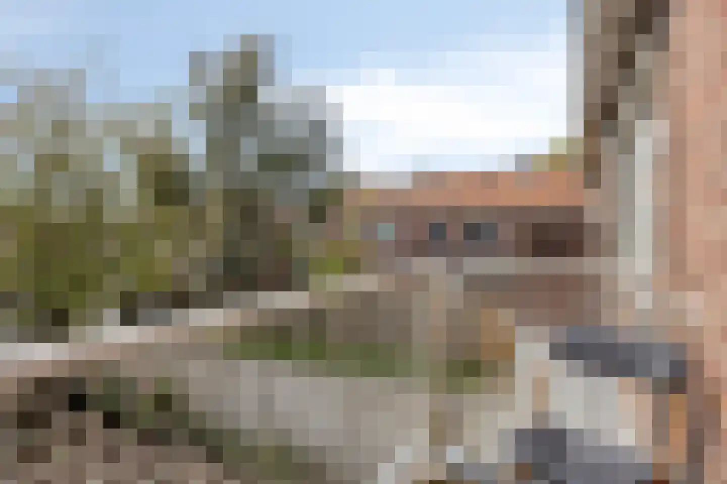Petrus Loosjesstraat 6 n Tilburg thumbnail 4