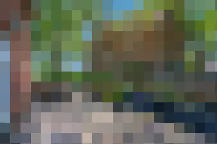 Petrus Muntinghepad 5 Termunten thumbnail 10