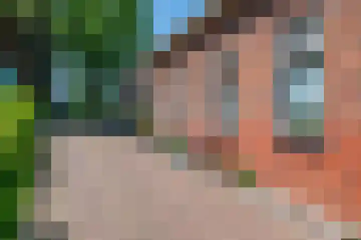Petrus Muntinghepad 5 Termunten thumbnail 11