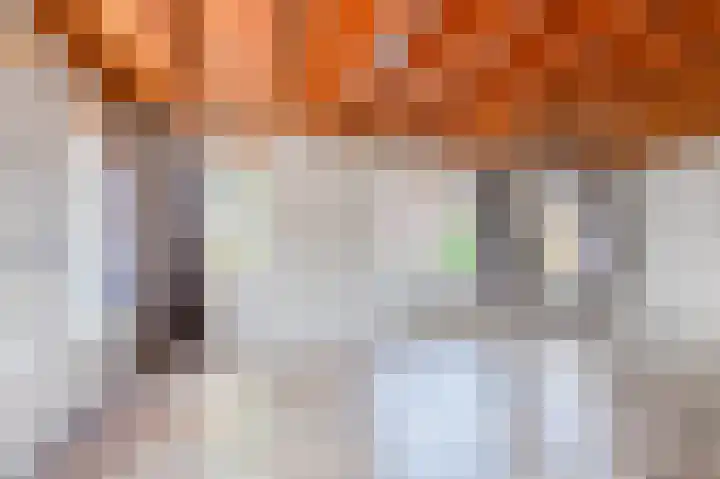 Petrus Muntinghepad 5 Termunten thumbnail 15