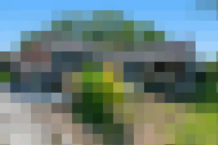 Petrus Muntinghepad 5 Termunten thumbnail 36