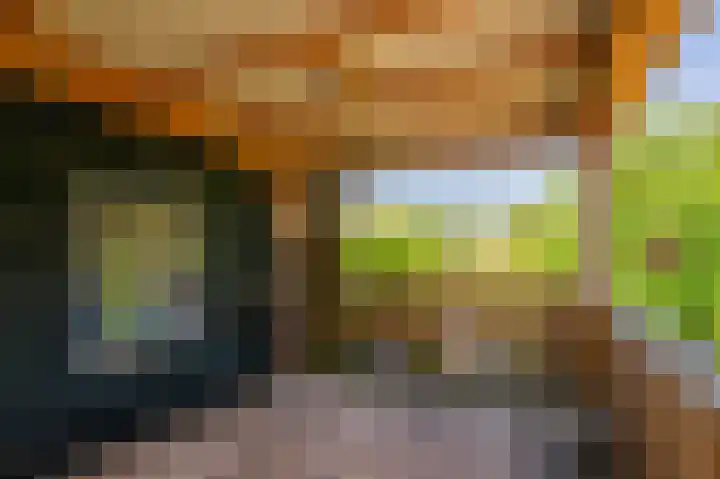 Petrus Muntinghepad 5 Termunten thumbnail 39