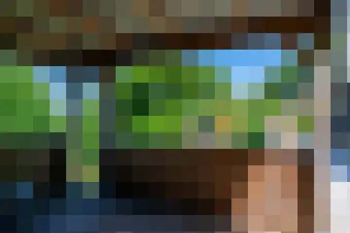 Petrus Muntinghepad 5 Termunten thumbnail 40