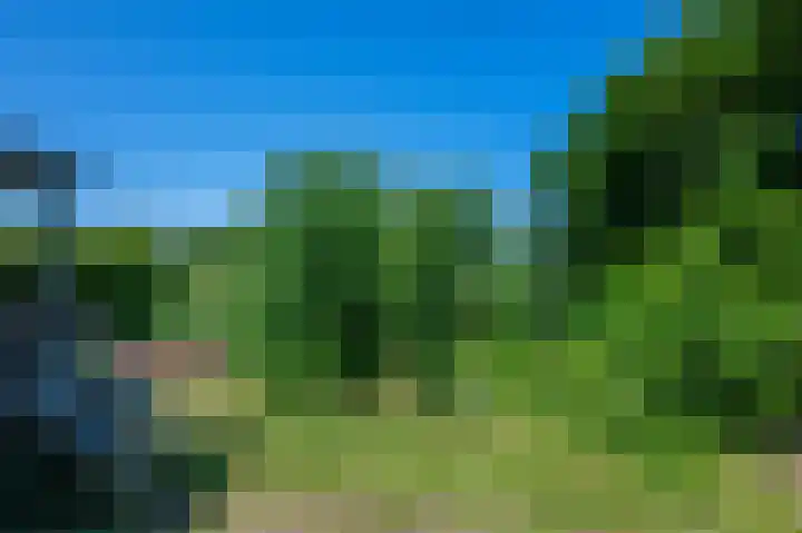 Petrus Muntinghepad 5 Termunten thumbnail 41
