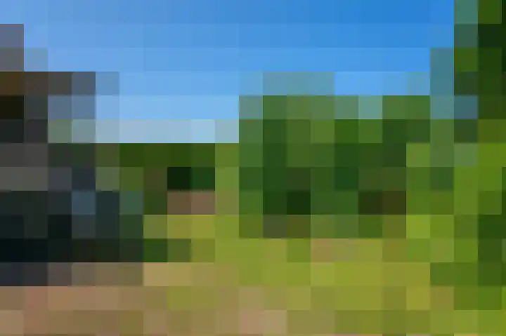 Petrus Muntinghepad 5 Termunten thumbnail 42