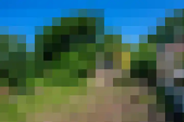 Petrus Muntinghepad 5 Termunten thumbnail 43