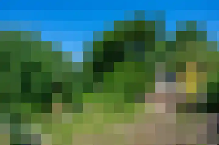 Petrus Muntinghepad 5 Termunten thumbnail 44