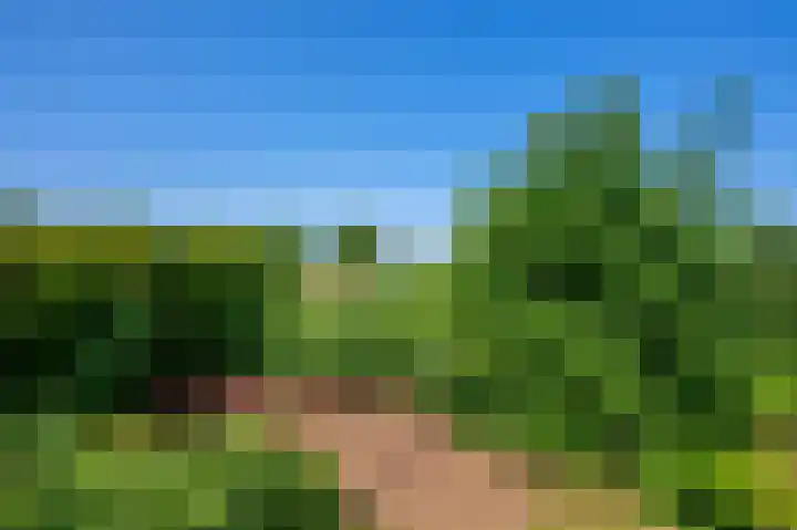 Petrus Muntinghepad 5 Termunten thumbnail 46