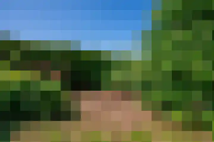 Petrus Muntinghepad 5 Termunten thumbnail 47