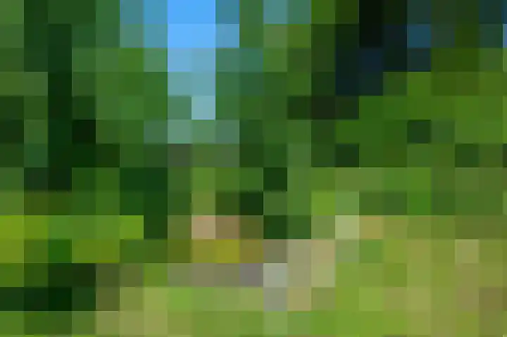 Petrus Muntinghepad 5 Termunten thumbnail 48