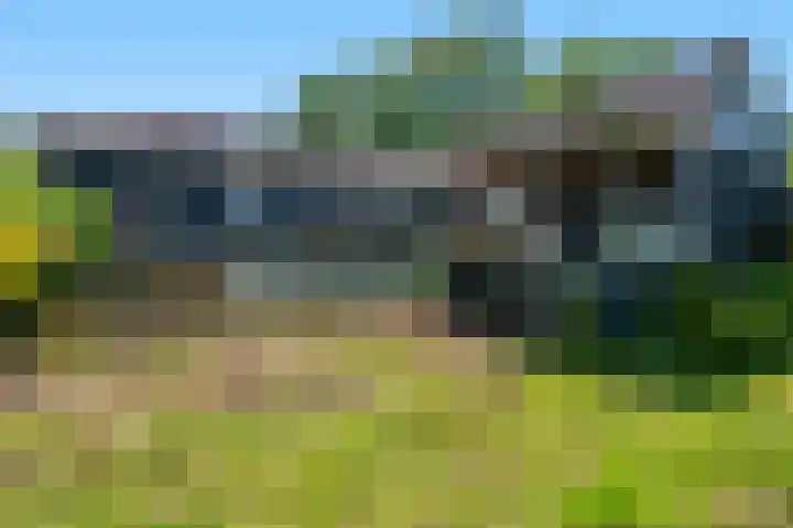 Petrus Muntinghepad 5 Termunten thumbnail 50