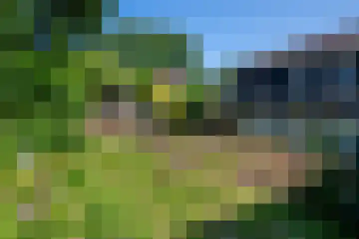 Petrus Muntinghepad 5 Termunten thumbnail 51