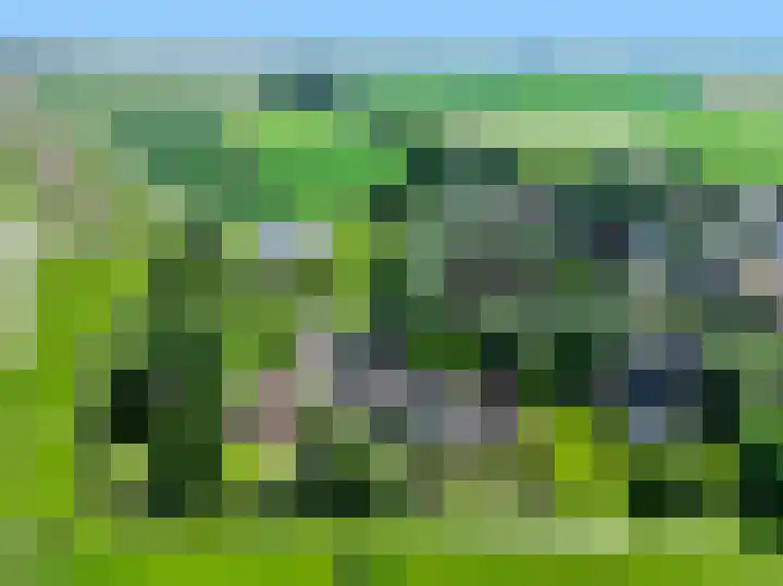 Petrus Muntinghepad 5 Termunten thumbnail 53