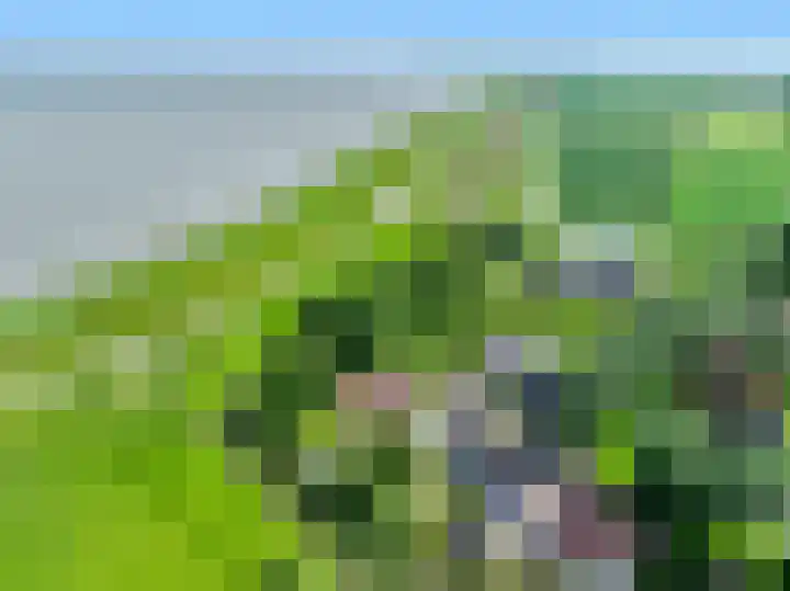 Petrus Muntinghepad 5 Termunten thumbnail 55