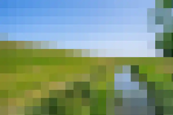 Petrus Muntinghepad 5 Termunten thumbnail 56
