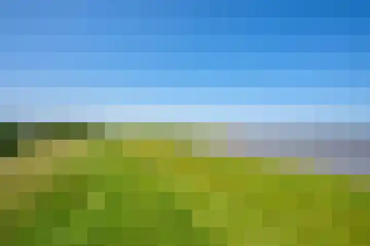 Petrus Muntinghepad 5 Termunten thumbnail 57