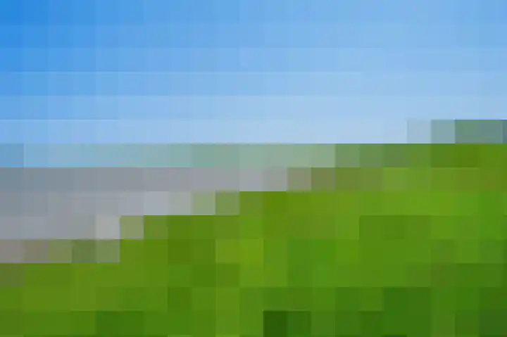Petrus Muntinghepad 5 Termunten thumbnail 58
