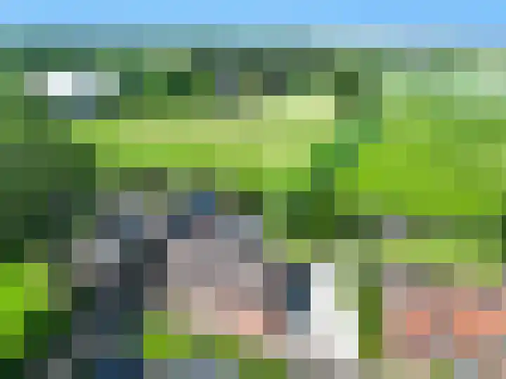Petrus Muntinghepad 5 Termunten thumbnail 6