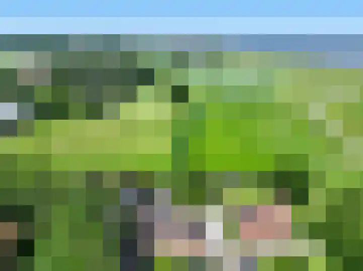 Petrus Muntinghepad 5 Termunten thumbnail 7