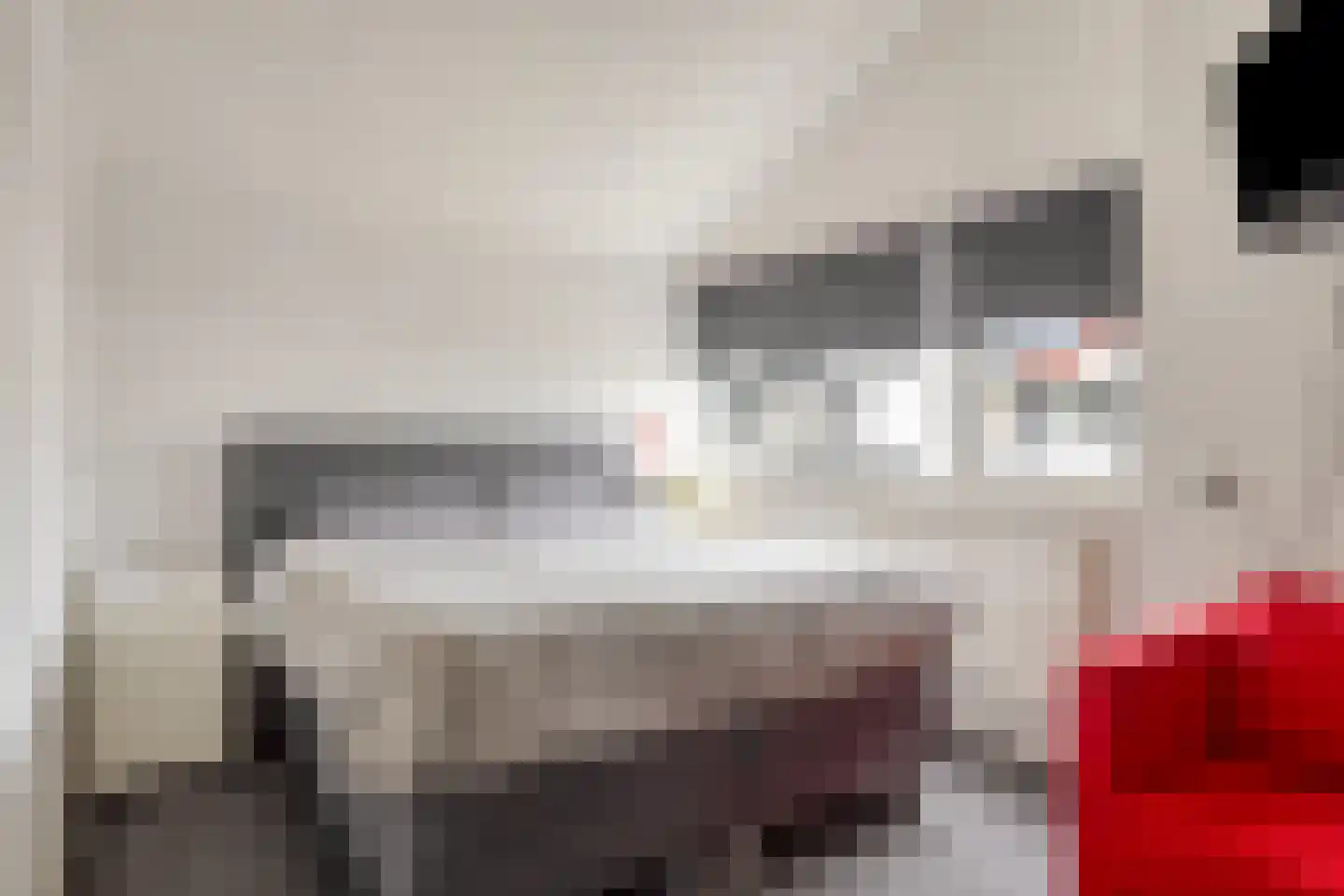 Petrus Paulus Rubensstraat 21 Axel thumbnail 17