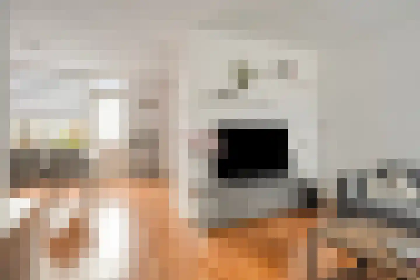 Petrus Paulus Rubensstraat 21 Axel thumbnail 8