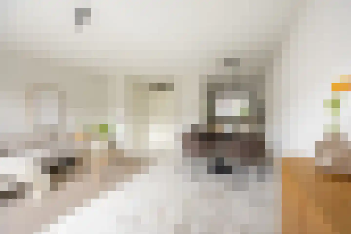 Petrus Planciusstraat 12 Haarlem thumbnail 10