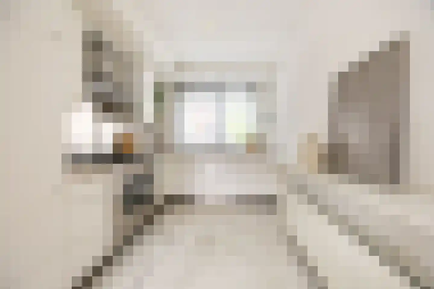Petrus Planciusstraat 12 Haarlem thumbnail 14