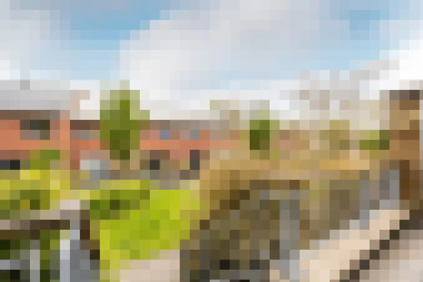 Petrus Planciusstraat 12 Haarlem thumbnail 19