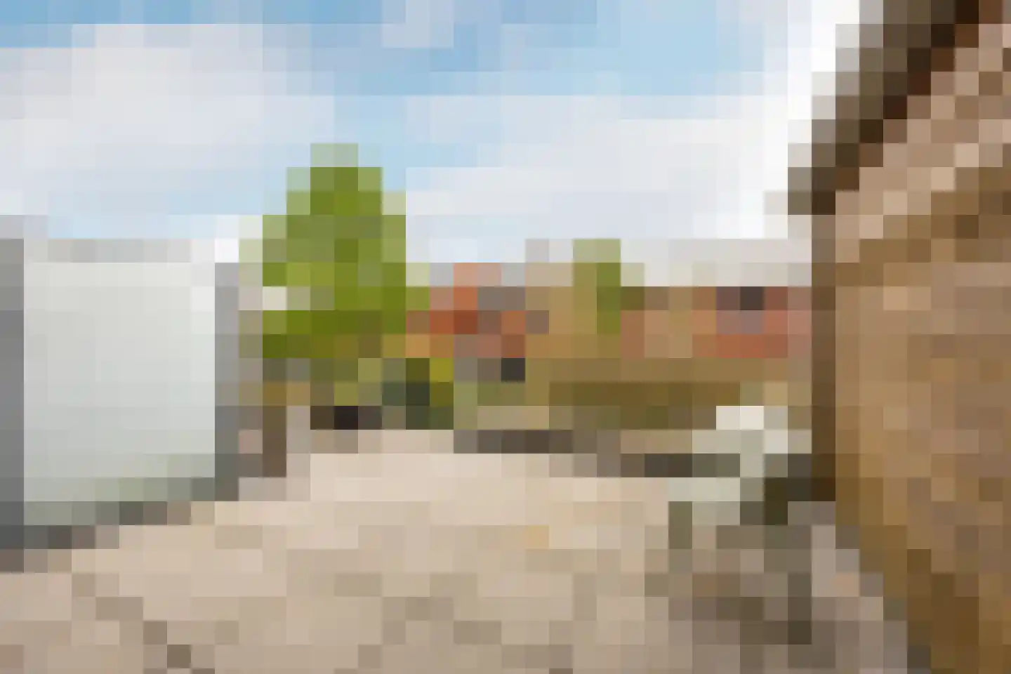 Petrus Planciusstraat 12 Haarlem thumbnail 20