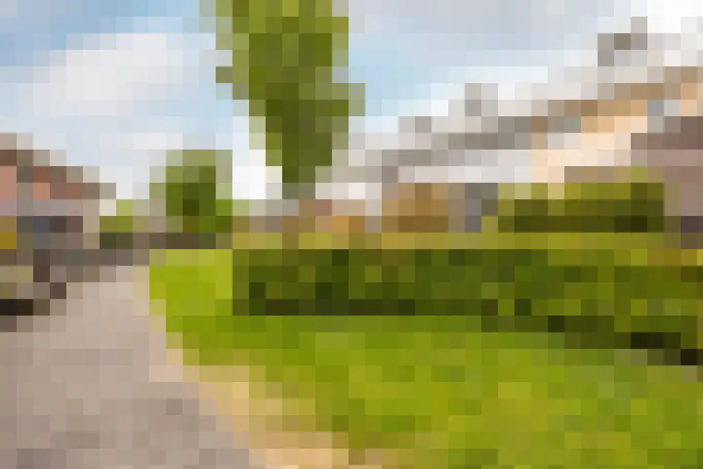 Petrus Planciusstraat 12 Haarlem thumbnail 20