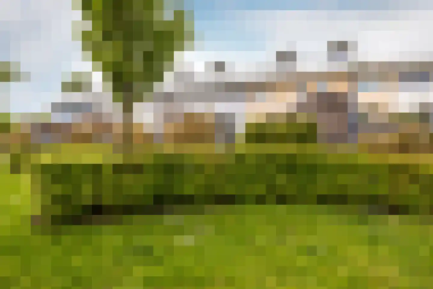 Petrus Planciusstraat 12 Haarlem thumbnail 22