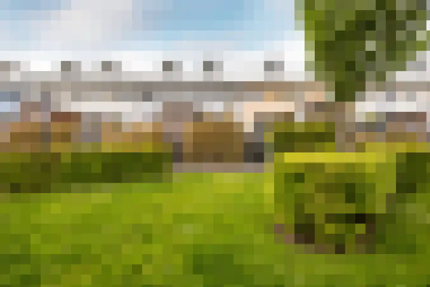 Petrus Planciusstraat 12 Haarlem thumbnail 23