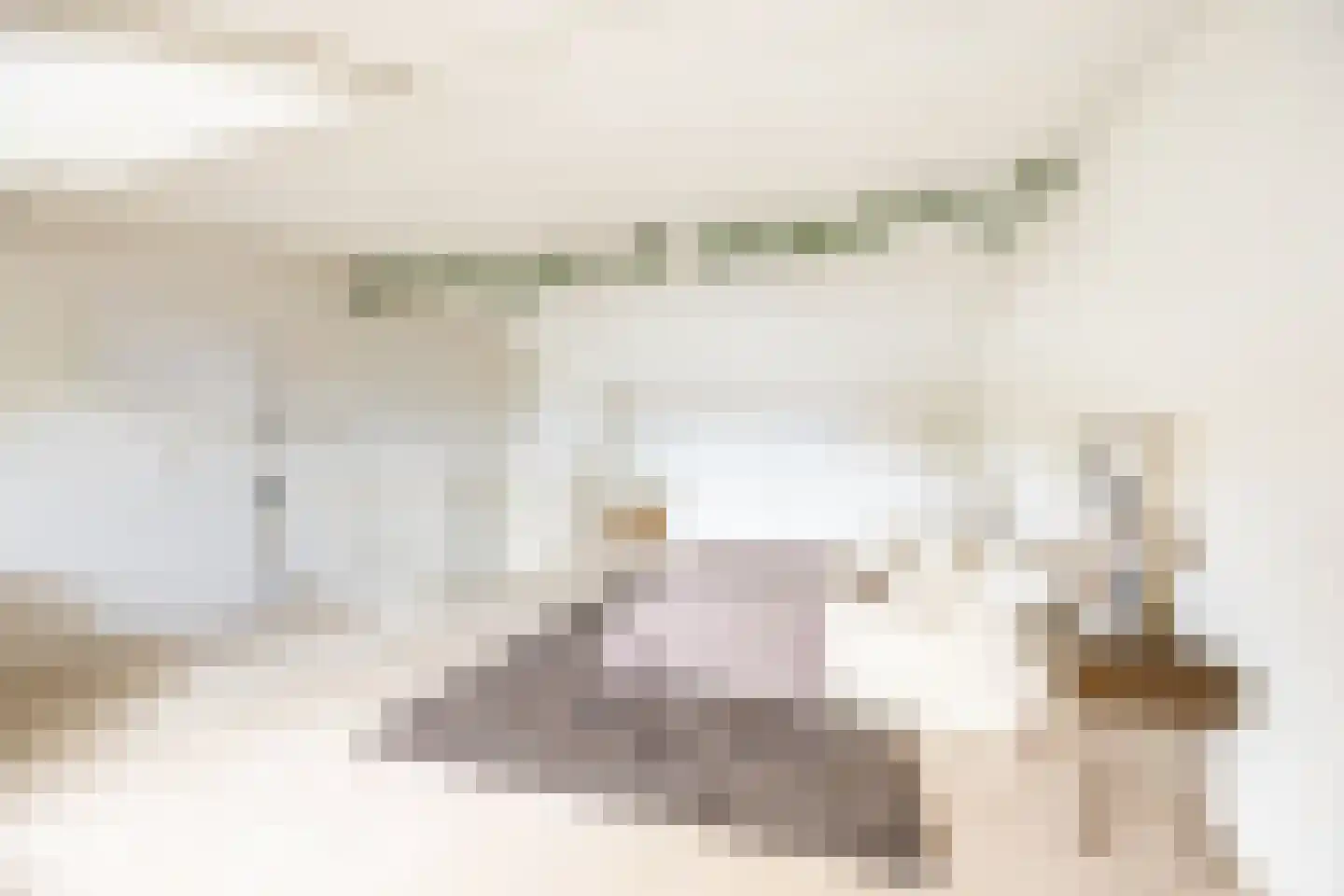 Petrus Planciusstraat 12 Haarlem thumbnail 26