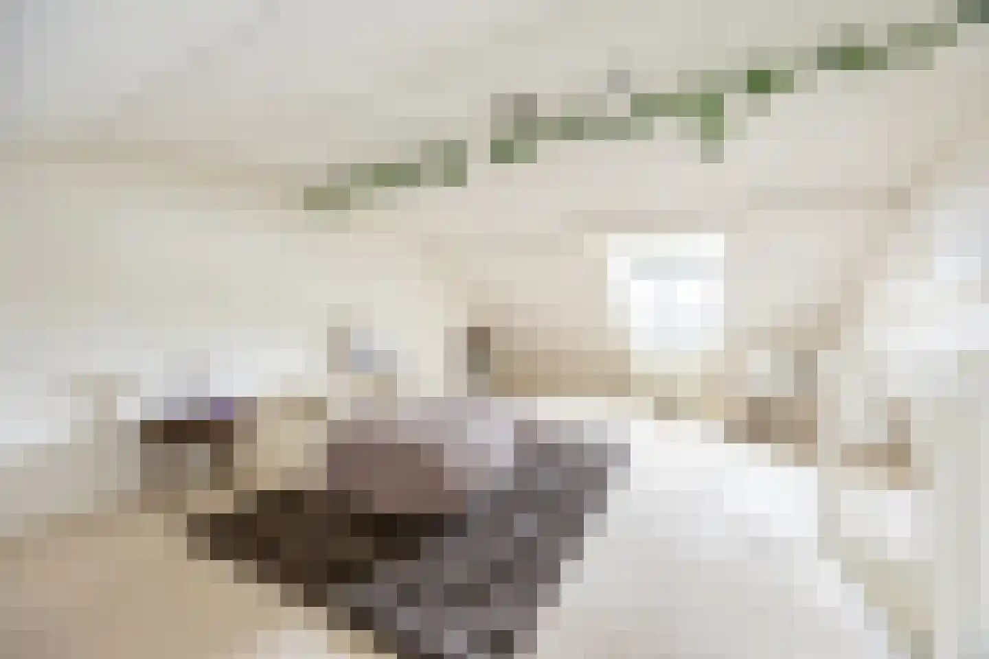 Petrus Planciusstraat 12 Haarlem thumbnail 30
