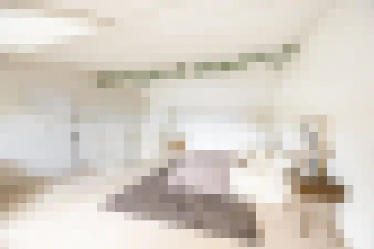 Petrus Planciusstraat 12 Haarlem thumbnail 31