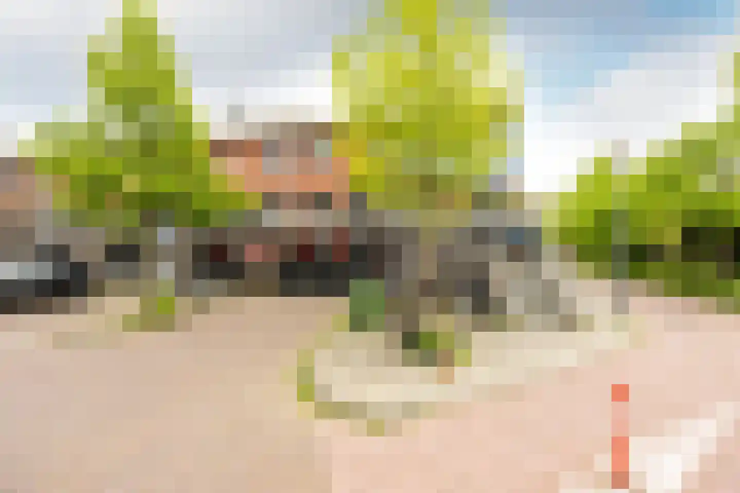 Petrus Planciusstraat 12 Haarlem thumbnail 33