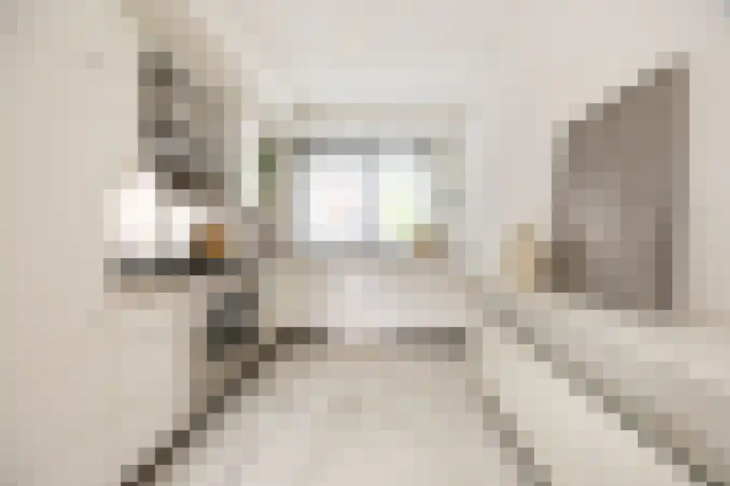 Petrus Planciusstraat 12 Haarlem thumbnail 9