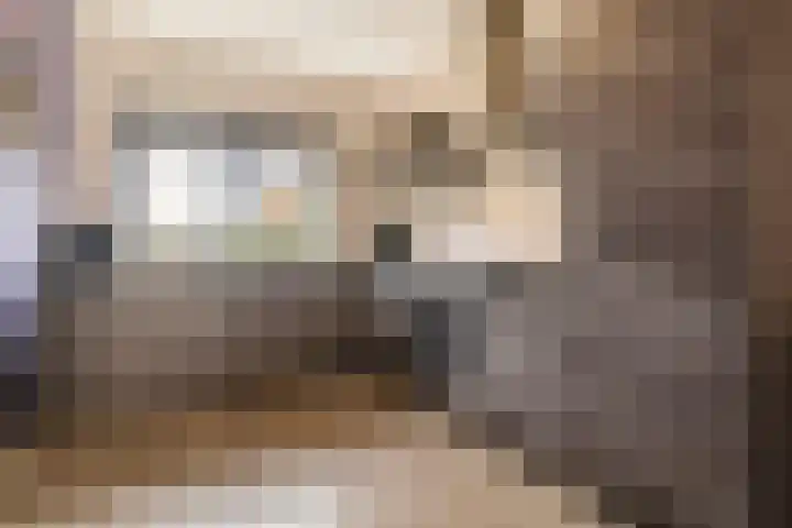 Petrus Planciusstraat 21 Veenendaal foto 3