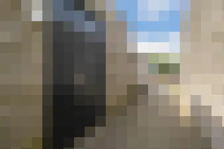 Petrus Planciusstraat 21 Veenendaal thumbnail 35