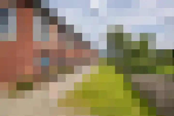 Petrus Planciusstraat 21 Veenendaal thumbnail 36