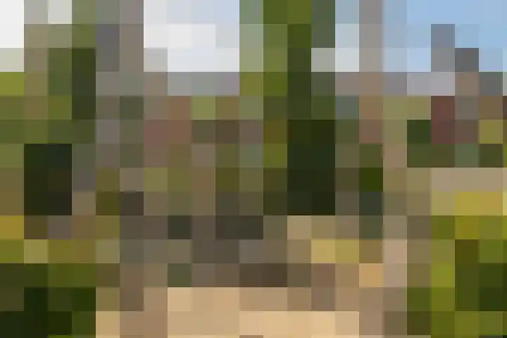 Petrus Planciusstraat 21 Veenendaal thumbnail 41