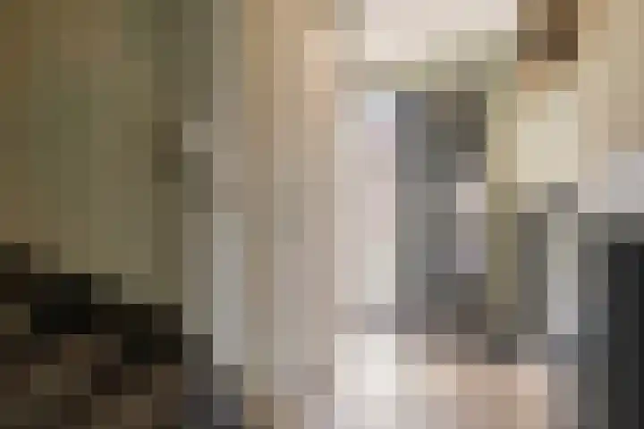 Petrus Planciusstraat 21 Veenendaal thumbnail 7