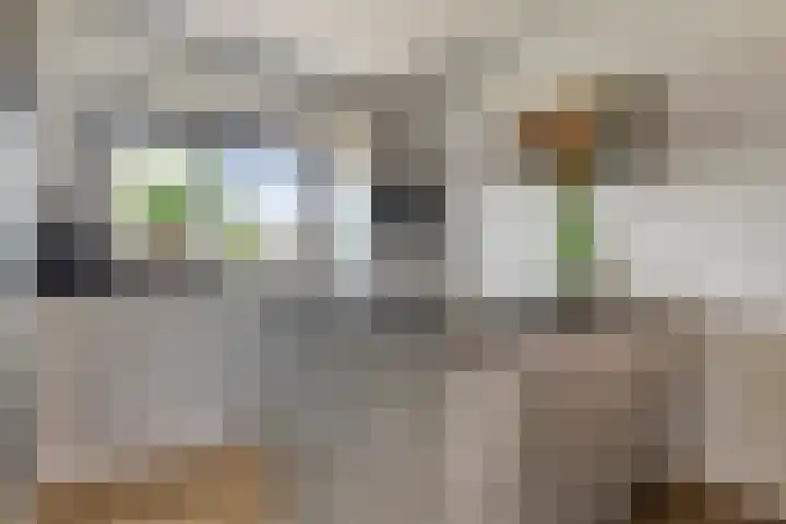 Petrus Planciusstraat 23 Veenendaal thumbnail 11